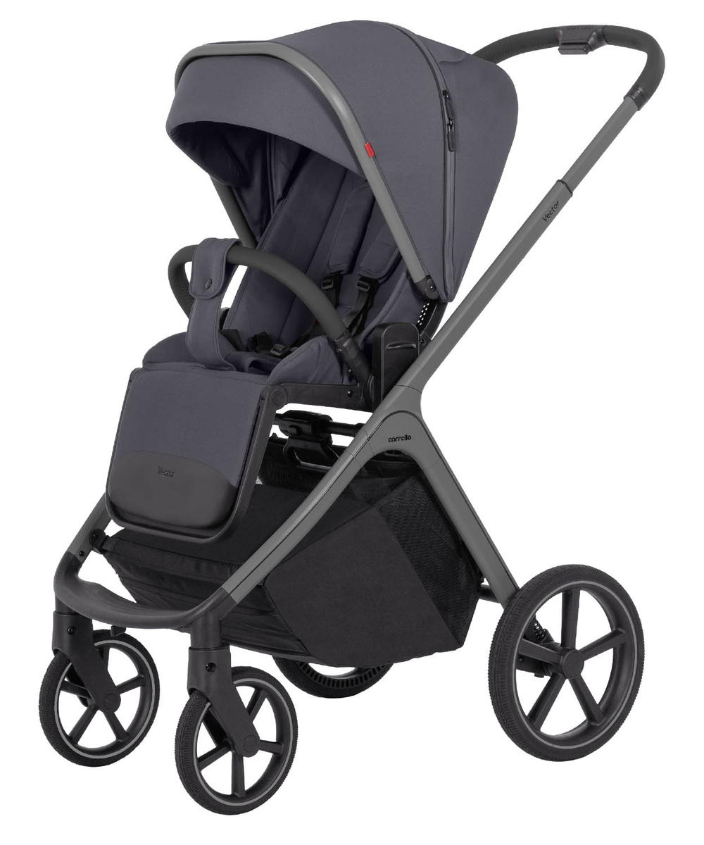Коляска 2 в 1 Carrello Vector CRL-6550 Landscape Grey