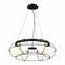 Подвесная люстра ST Luce Asolo SL1189.403.06