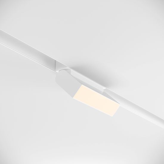 Трековый светильник Technical TR013-2-10W3K-W