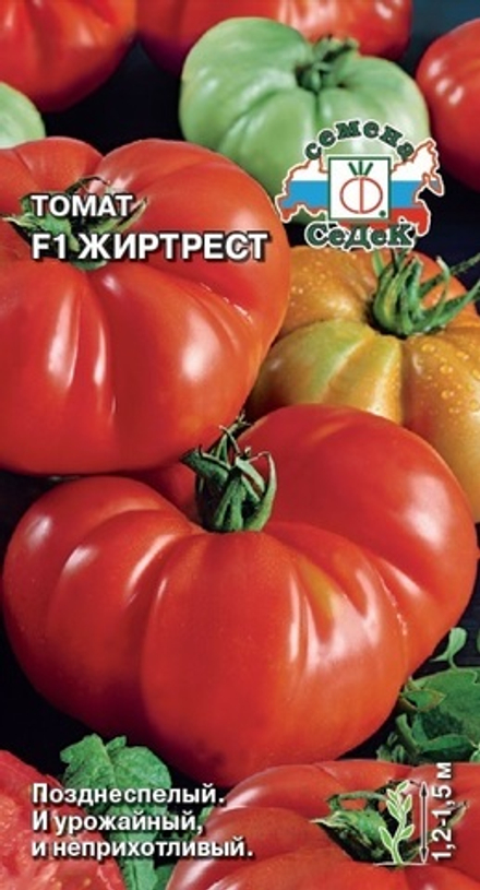 Томат Жиртрест F1 Седек