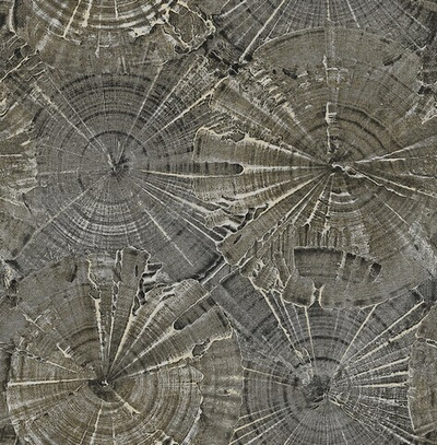 Обои Carl Robinson Edition 15 76003 CR