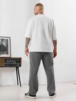 Брюки мужские Акс Виотекс СЕРЫЙ