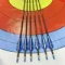 Стрелы MUSEN Archery Fox из чистого карбона sp600 4,2 мм 30 дюймов (6 шт.)
