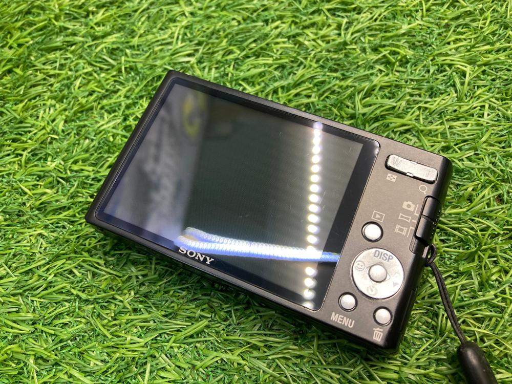 Sony W550
