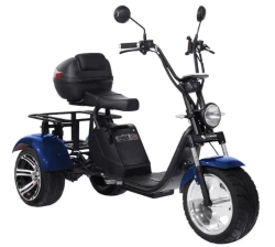 Электроскутер SKYBOARD CITYCOCO TRIKE BR80