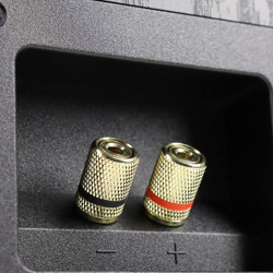 Полочные колонки Radiotehnika Alfa 1.01 MKII Black Ash