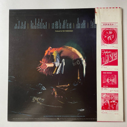 Винтажная виниловая пластинка LP Van Halen (Japan 1978) (Obi) You Really Got Me