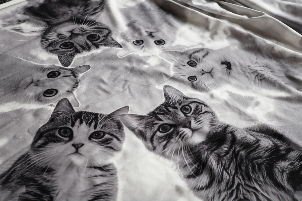 КОТЫ В КРУГУ - Кулирка с лайкрой, компакт пенье (ДЖ66 Маша) (к2 поперечные прожилки)