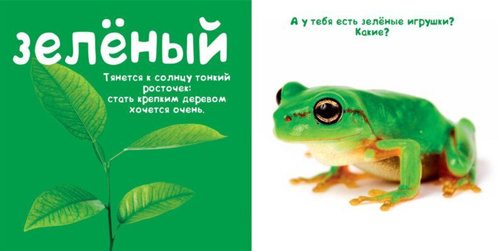 Цвета. Солнечная фото-книга (дополнительный тираж)