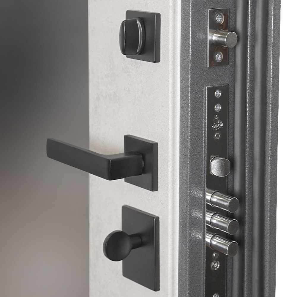 Стальная дверь  "Беркут" с зеркалом