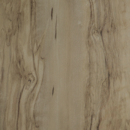 Олива европейская