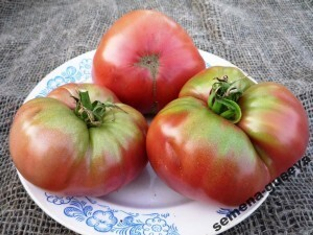 Помидоры Black Krim