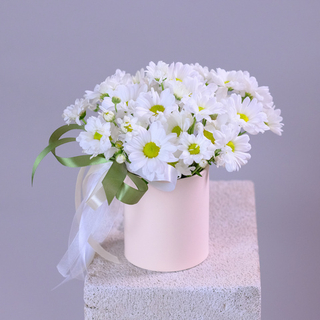 Цветы ромашки в шляпной коробке #105