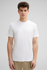 Футболка мужская STRELLSON