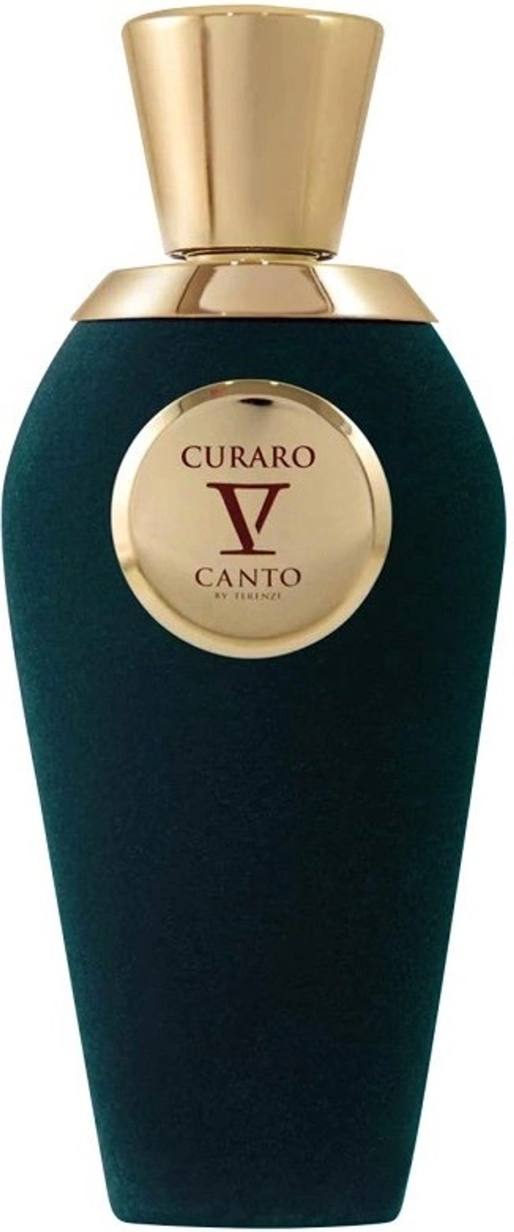 V Canto Curaro