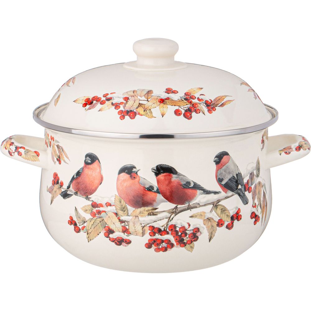 КАСТРЮЛЯ AGNESS ЭМАЛИРОВАННАЯ С ЭМАЛ.КРЫШКОЙ СЕРИЯ "СНЕГИРИ", 3.6 Л, 22*13 СМ