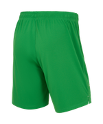 Шорты вратарские Jögel PerFormDRY Spartak 25 GK Shorts, зеленый