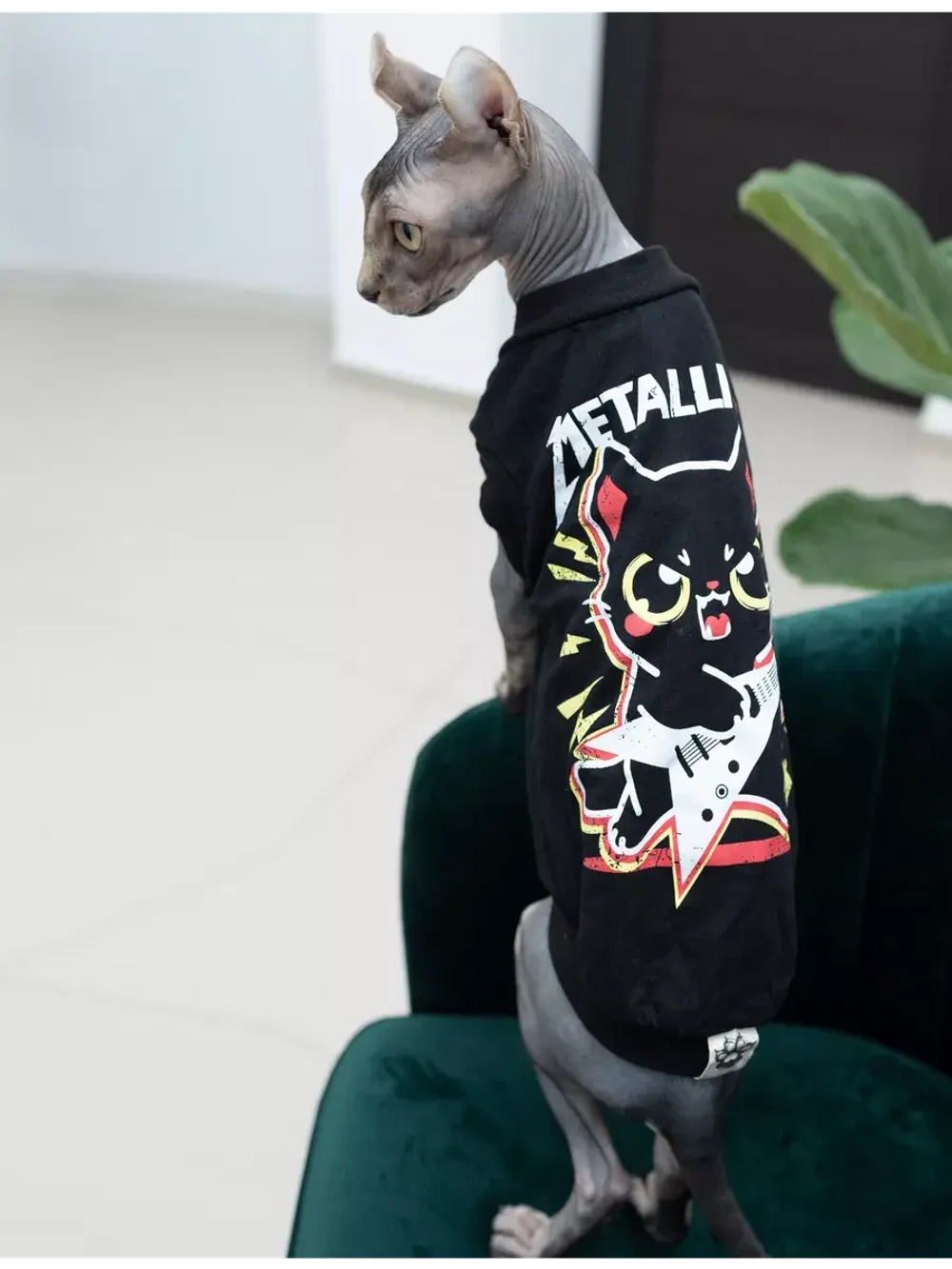 Одежда для кошек сфинкс