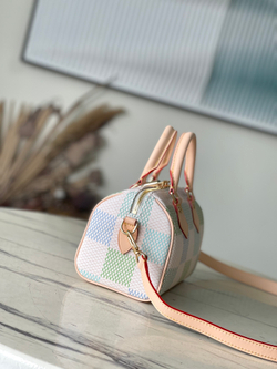 Louis Vuitton Speedy 20