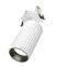 Встраиваемый светильник Maytoni Technical Calipso C110CL-01-GU10-W