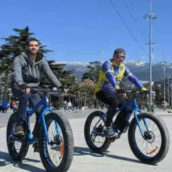 Электро-фэтбайк Horza Stels Aggressor MD-750