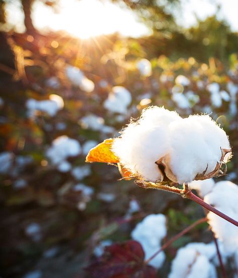 Tessuto, наполнитель для диффузора, Culti Milano