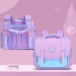 Ранец Paul Frank Satchel (Purple)