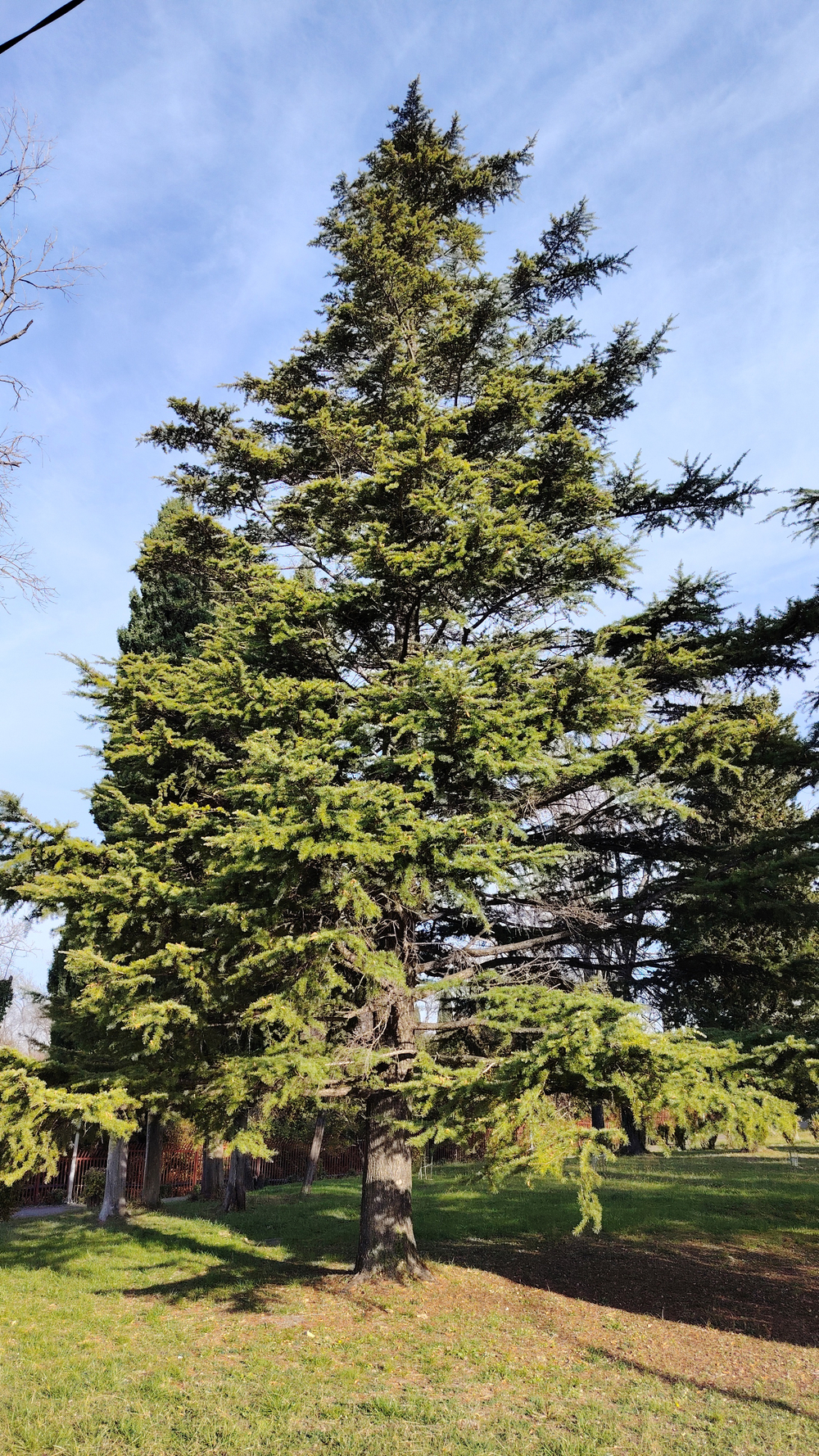 Обучающий курс для новичков 24 января - 01 февраля 2026