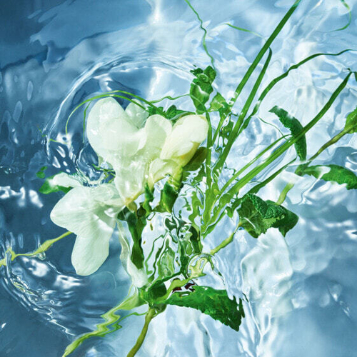 Tуалетная вода Guerlain Aqua Allegoria Herba Fresca 75 мл
