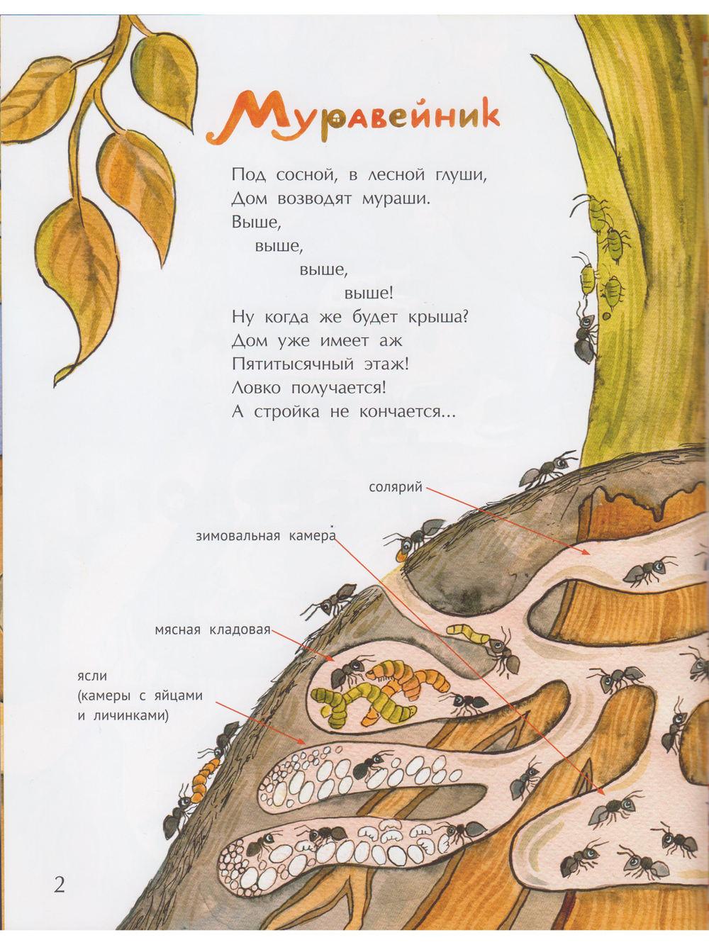 Гнёзда, дупла и берлоги