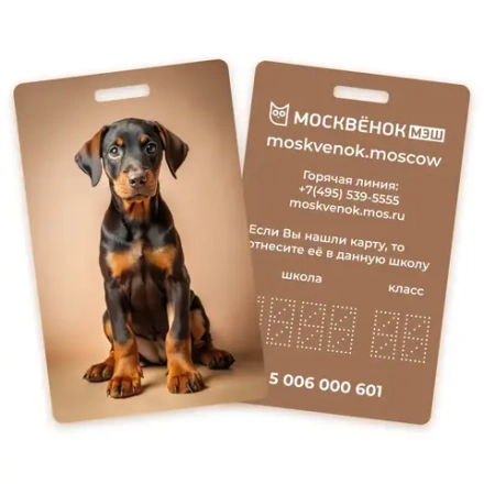 Карта Москвёнок DOGS №9 (проход + питание)