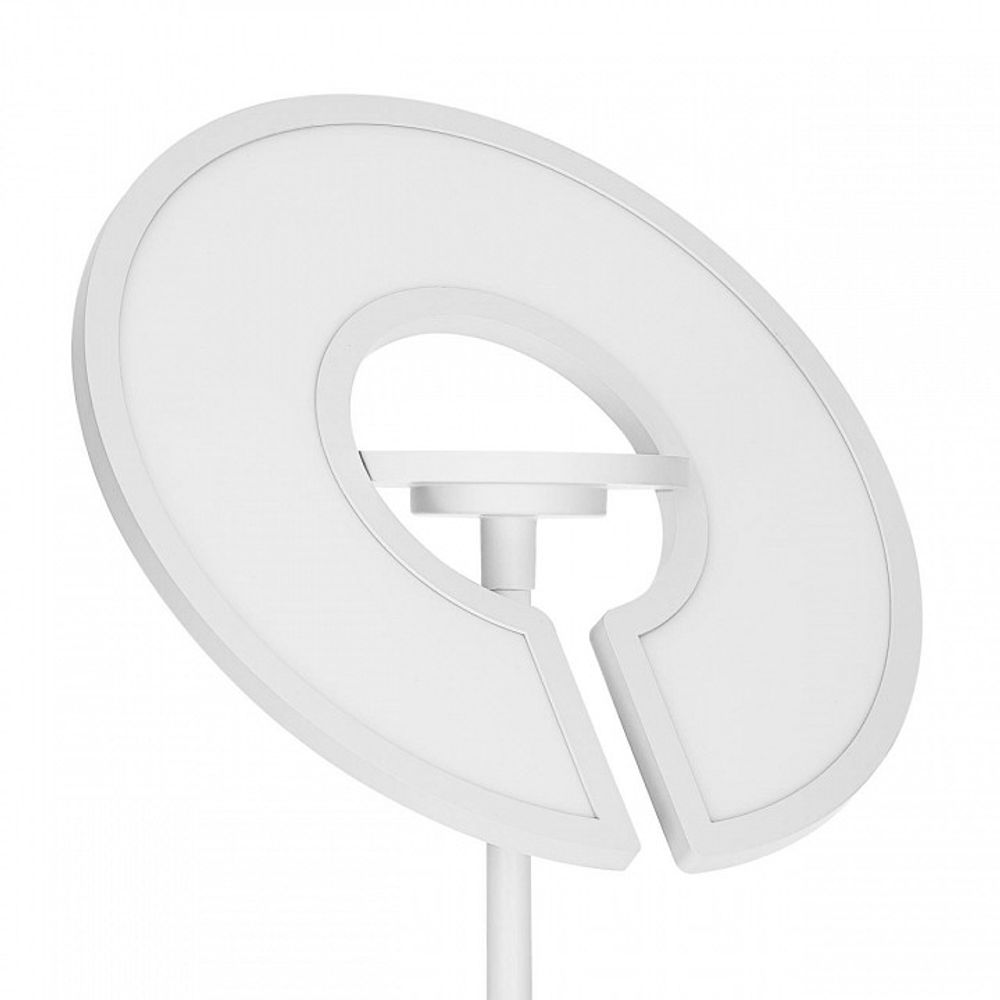 Торшер Citilux LOONG CL810030