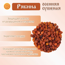 Рябина красная. Алтайская "Осенняя" ягода сушеная