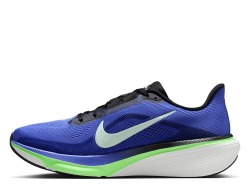 Мужские беговые кроссовки Nike Pegasus 42 M сине-зеленые