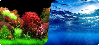 Фон Голландский пейзаж/Морская поверхность 50 см