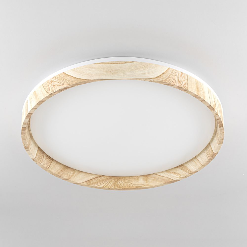 Citilux ENZO CL753452G LED RGB Светильник с пультом Клён