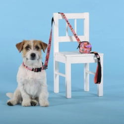 United pets complete me forever ошейник для собак, m 34-56/2 см, оранжевый с рисунком