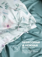 PLACIDITY 2 наволочки, сатин светло-зеленый 50x70см