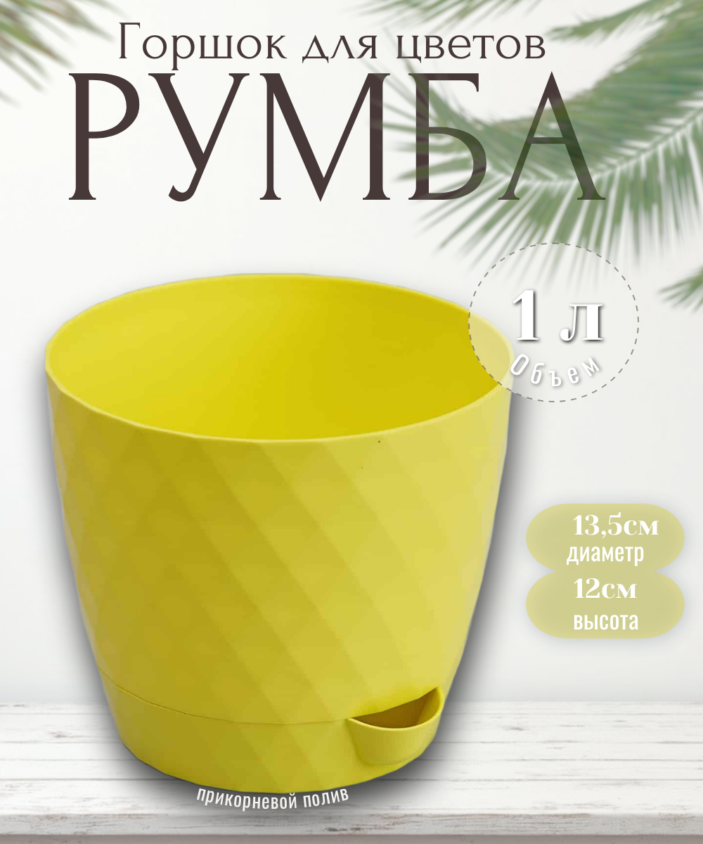 румба