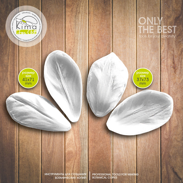 Тюльпан средний лепестки