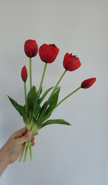 Тюльпаны пионовидные / Арт 2416