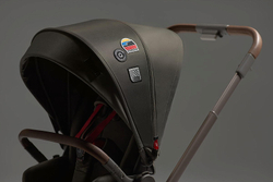 Детская коляска Anex Flo 2 в 1 Cesar