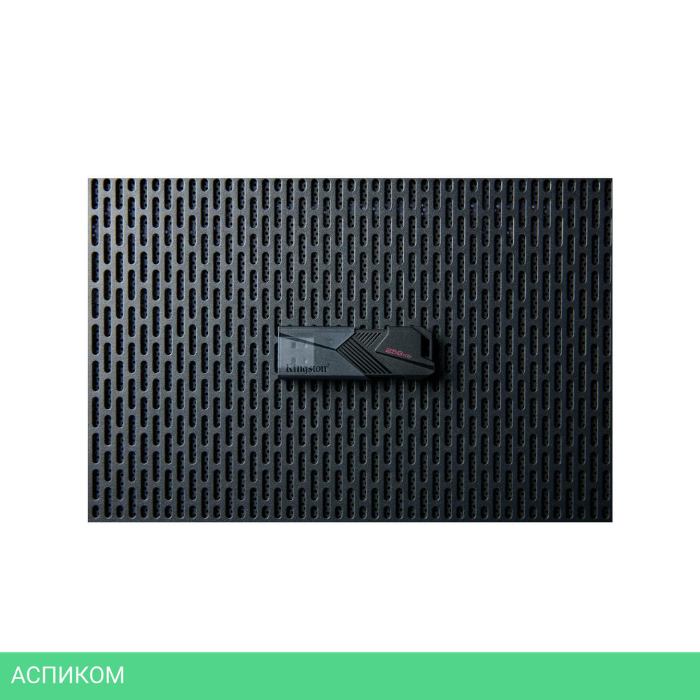 USB Flash-накопитель Kingston DataTraveler Exodia Onyx 256GB (DTXON/256GB)