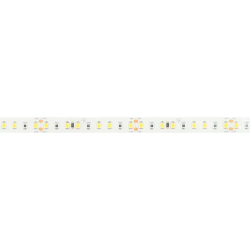 Светодиодная лента FITOLUX-SE-A144-10mm 24V Day5000-Red (14 W/m, IP65, 2835, 5m) (Arlight, 14 Вт/м, IP65) 038171