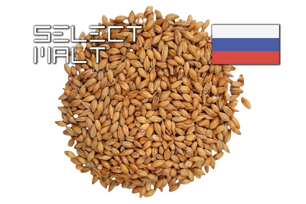 PALE ALE SELECT MALT