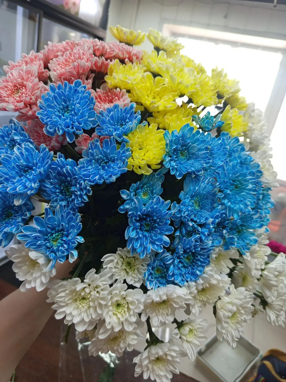 Хризантема