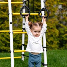 Детский спортивный комплекс для дачи ROMANA Богатырь Плюс 2 (Качели гнездо 100см)