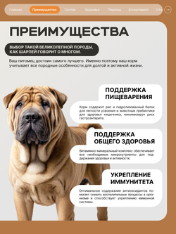 Корм сухой для взрослых собак породы Шарпей, премиум полнорационный комплекс, с индейкой, 12 кг, QUATTRO