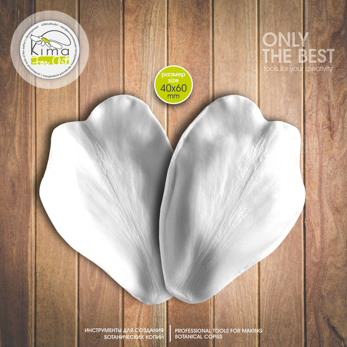 Пион древовидный лепесток большой