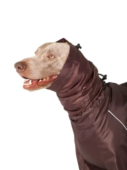 Снуды для собак непромокаемый шапка шарф для животных